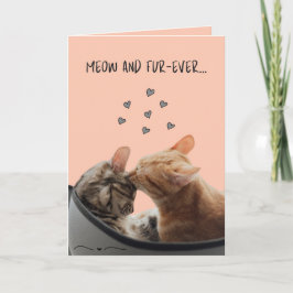 Valentinstag Card, Meow und Pelever Karte