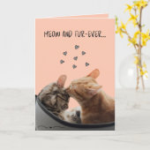 Valentinstag Card, Meow und Pelever Karte (Gelbe Blume)
