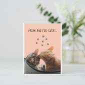Valentinstag Card, Meow und Pelever Postkarte (Stehend Vorderseite)
