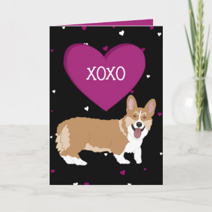 Valentinstag Corgi XOXO Dankeskarte