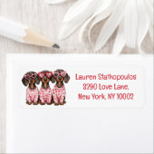 Valentinstag Dackel Hunde (Insitu)