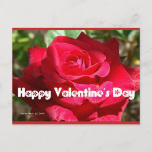 Valentinstag der Rose Blue Beach Song™ Postkarte