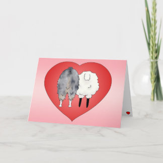 Valentinstag des australischen Hirten Feiertagskarte