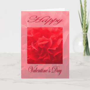 Valentinstag Dianthus rote Blume Feiertagskarte