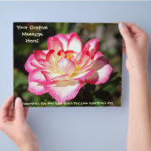 Valentinstag Flyer Brauch Pink White Rose (Hand)