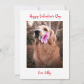 Valentinstag Foto Hund Feiertagskarte (Vorderseite)
