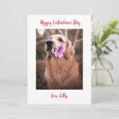 Valentinstag Foto Hund Feiertagskarte (Stehend Vorderseite)