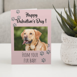 Valentinstag Foto Hund Katze Haustier Fellbaby Karte