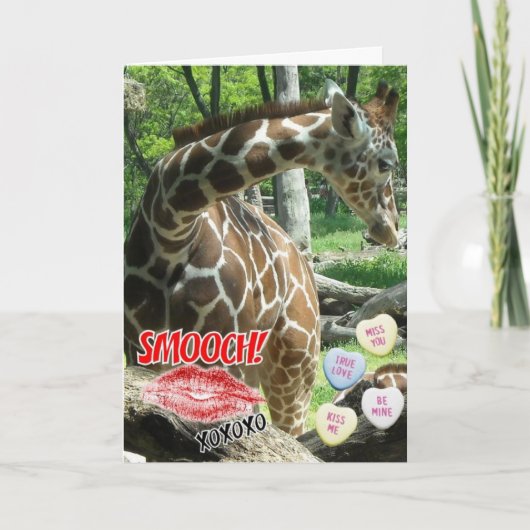 Valentinstag Giraffe Feiertagskarte (Vorderseite)