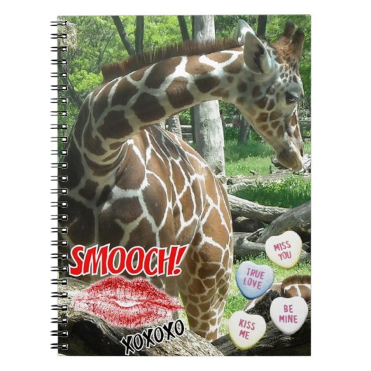 Valentinstag Giraffe Notizblock (Vorderseite)