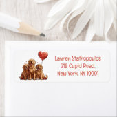 Valentinstag Golden Retriever Dog (Insitu)