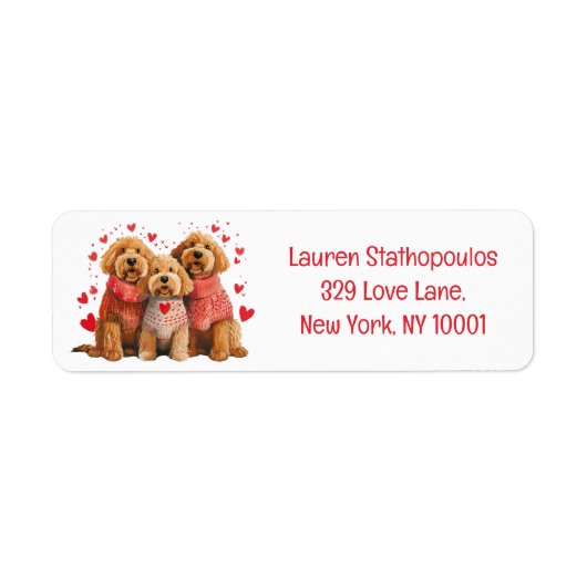 Valentinstag Goldendoodle Hunde (Vorne)