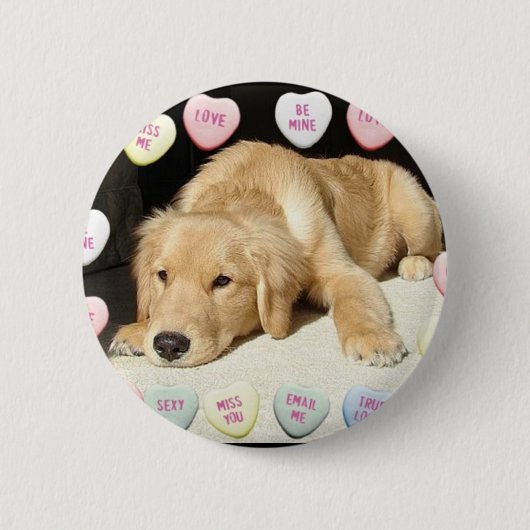Valentinstag Goldener Retriever Button (Vorderseite)