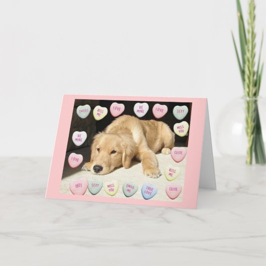 Valentinstag Goldener Retriever Feiertagskarte (Vorderseite)