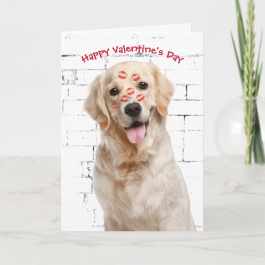 Valentinstag Goldener Retriever Karte (Vorderseite)