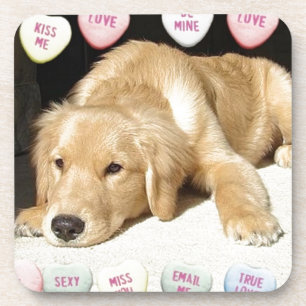 Valentinstag Goldener Retriever Untersetzer