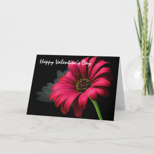 Valentinstag-Grüße Feiertagskarte