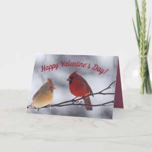 Valentinstag Grußkarte Kardinal Karte