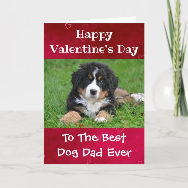 Dxhycc Valentinstag Hund Bandana Set – 5 Stück Mit Herzdesign Für Hunde & Katzen