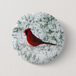 Valentinstag Kardinal Klassischer Rundaufkleber Button