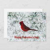 Valentinstag Kardinal Postkarte (Vorne/Hinten)