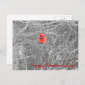 Valentinstag Kardinäle Postkarte (Vorne/Hinten)