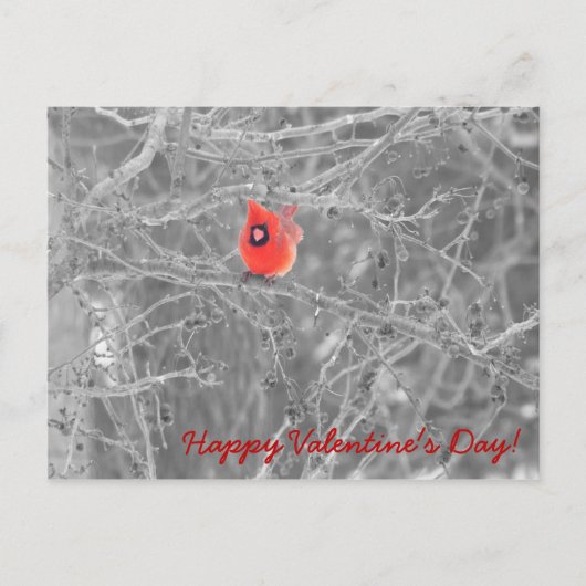 Valentinstag Kardinäle Postkarte (Vorderseite)