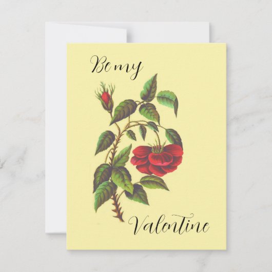 Valentinstag-Karte der Vintagen Rote Rose (Vorderseite)