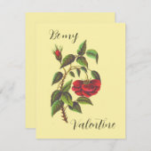 Valentinstag-Karte der Vintagen Rote Rose (Vorne/Hinten)