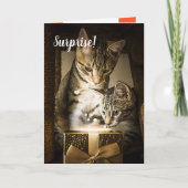 Valentinstag-Karte für niedliche Katzen Karte (Vorderseite)