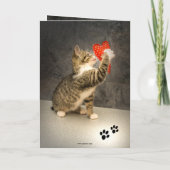 Valentinstag-Karte für niedliche Katzen Karte (Rückseite)