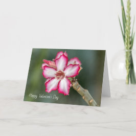 Valentinstag-Karte - Wüste-Rose Feiertagskarte