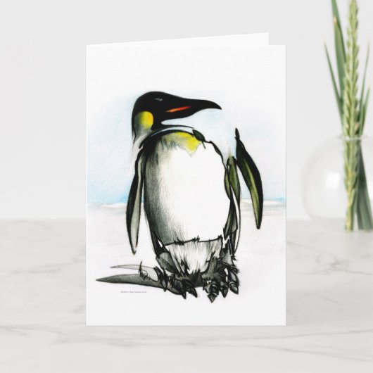 Valentinstag-Karte: Zeichnend Pinguin Feiertagskarte (Vorderseite)