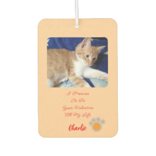 Valentinstag Katzenfoto Humor Text Autolufterfrischer