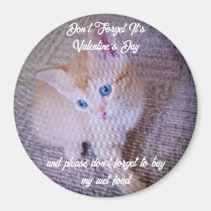 Valentinstag Katzenfoto Humor Text Lächeln Magnet