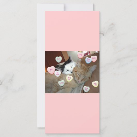 Valentinstag Kittens (Vorderseite)