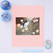 Valentinstag Kittens Flyer (Einzeln)
