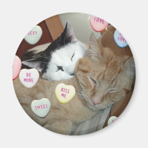 Valentinstag Kittens Magnet