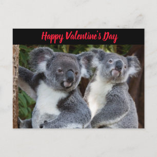 Valentinstag Koala Bears Postkarte