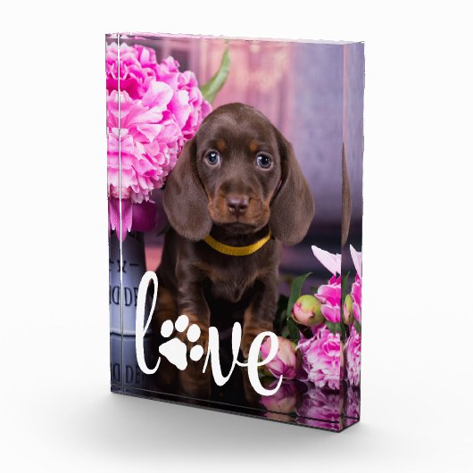 Valentinstag-LIEBE - benutzerdefinierter Hundfoto Fotoblock (Rechts)