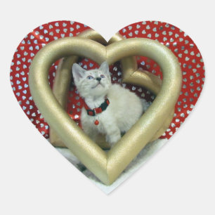 Valentinstag - Liebes-Phönix - Katze / Kätzchen Herz-Aufkleber