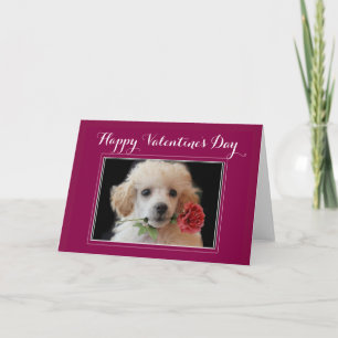 Valentinstag-Poodle-Grußkarte Feiertagskarte