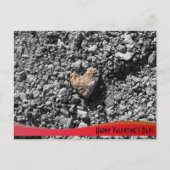 Valentinstag Postkarte (Vorderseite)
