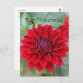 Valentinstag Postkarte mit roter Dahlia (Vorne/Hinten)