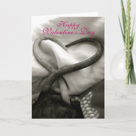 Valentinstag-Rattenkarte Feiertagskarte (Vorderseite)