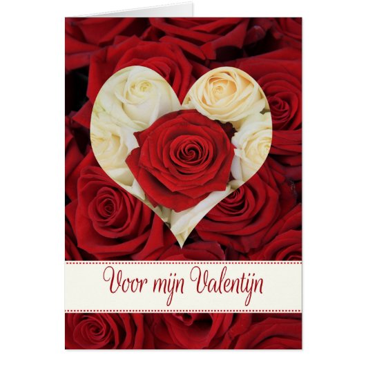 Valentinstag-Rose (Vorne)