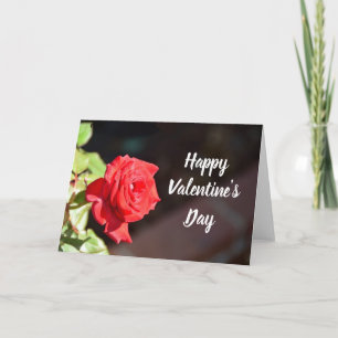 Valentinstag Rose Feiertagskarte