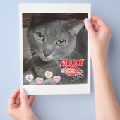 Valentinstag Russische Blaugraue Katze Flyer (Hand)