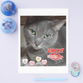 Valentinstag Russische Blaugraue Katze Flyer (Einzeln)