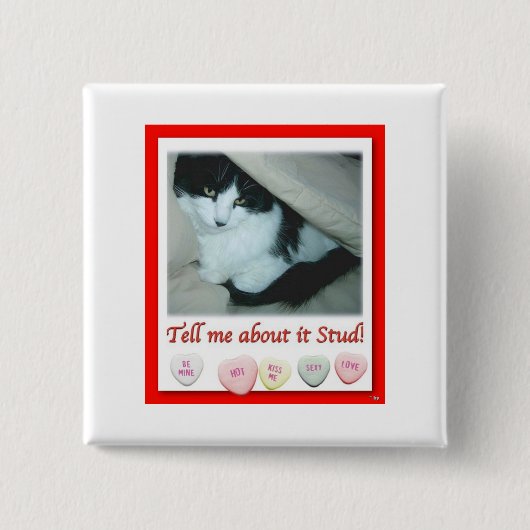 Valentinstag Schwarze und Weiße Katze Button (Vorderseite)